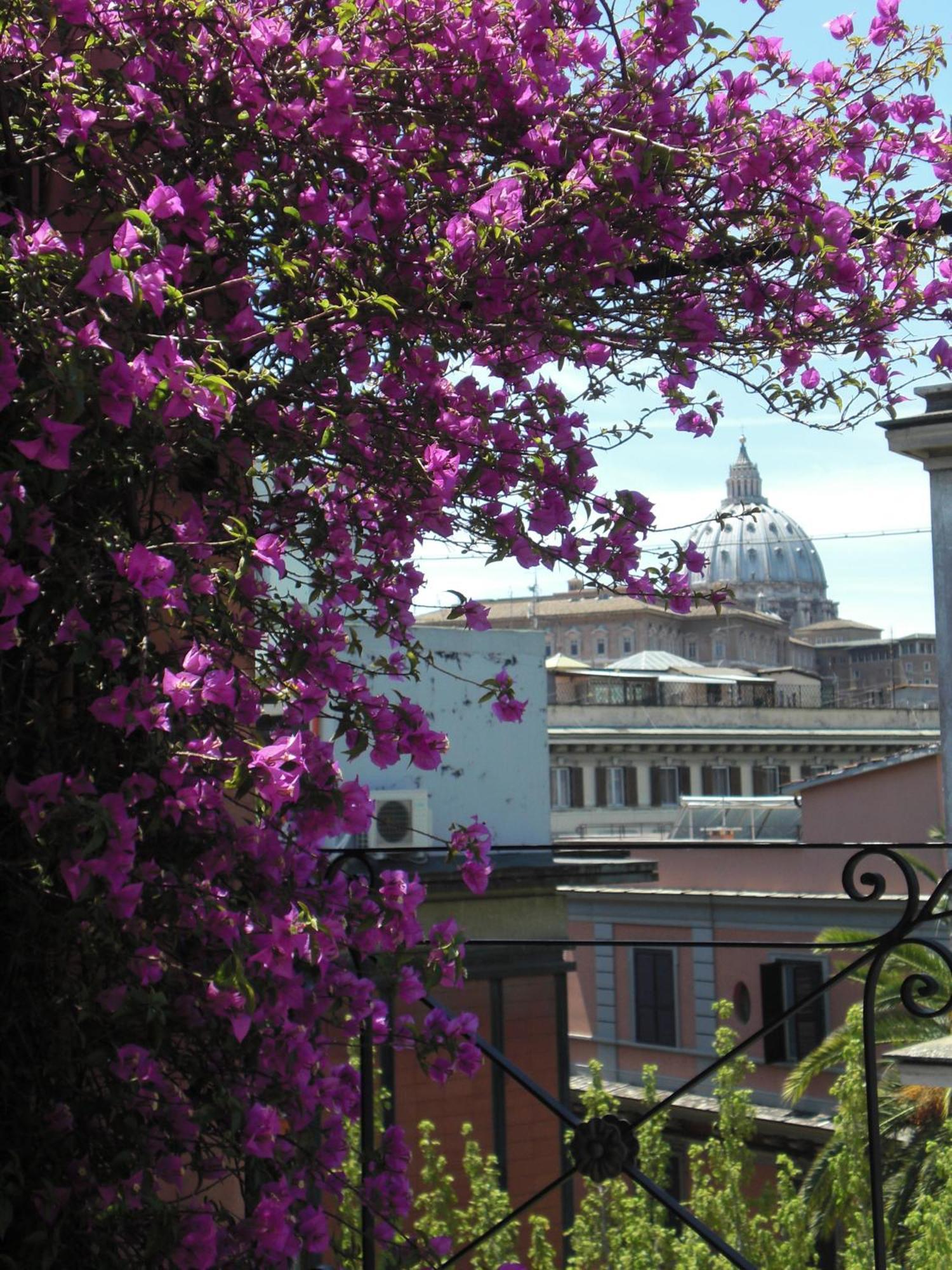 Hotel Dei Consoli Vaticano Roma Dış mekan fotoğraf